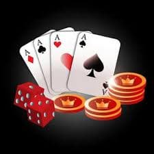 bs555